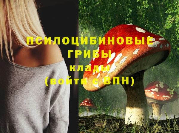 твердый Шарыпово