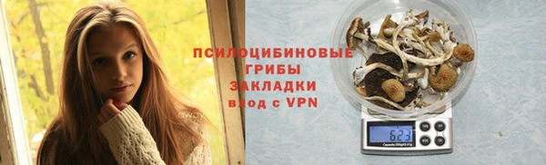 твердый Шарыпово