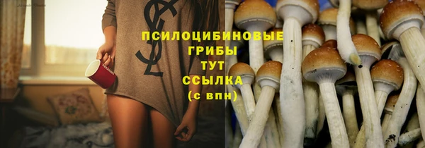 мяу мяу мука Дмитровск