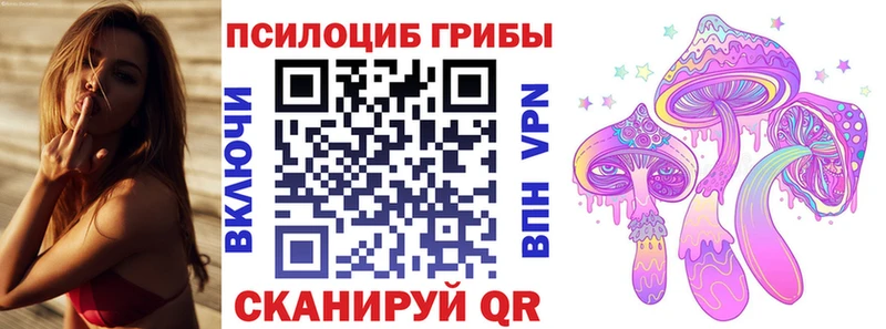 Галлюциногенные грибы Magic Shrooms  как найти закладки  Чёрмоз 